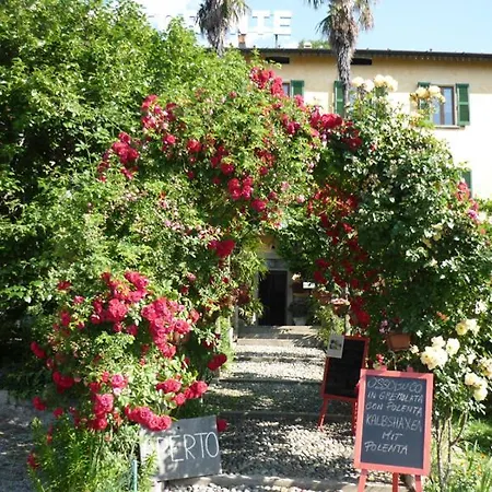 公寓 Olive Ferienwohnung Mit Garten Vercana